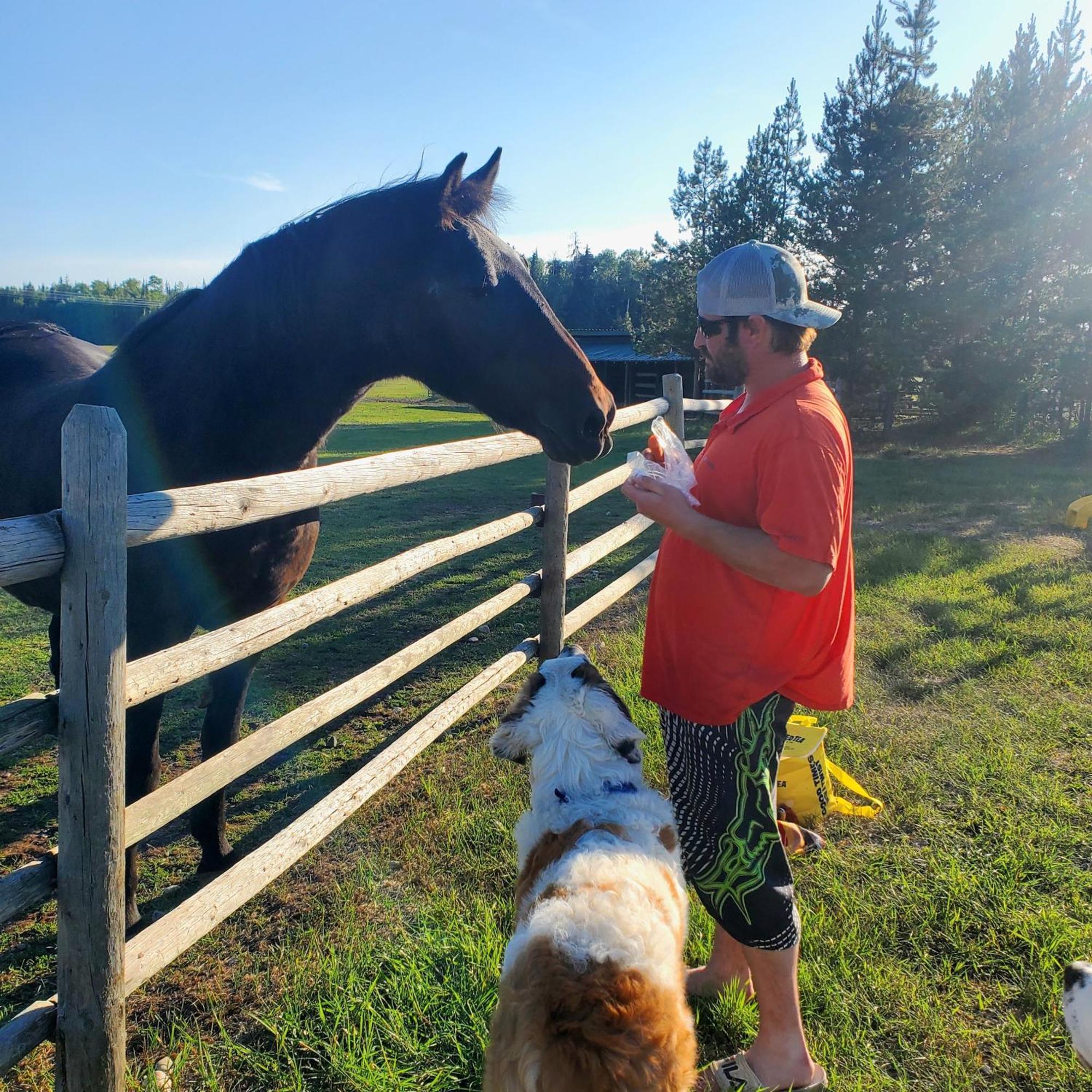 Lodge Woodhouse And Ranch *