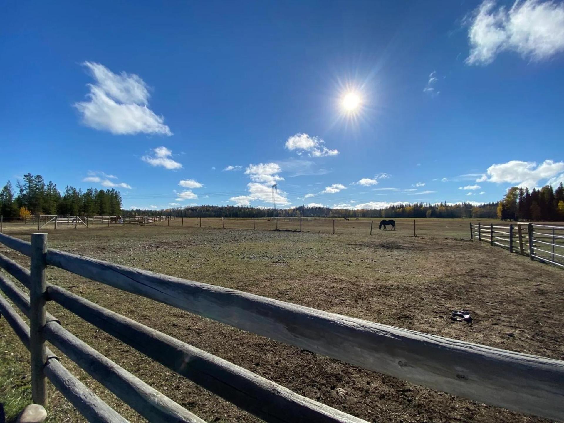 Woodhouse And Ranch Prince George